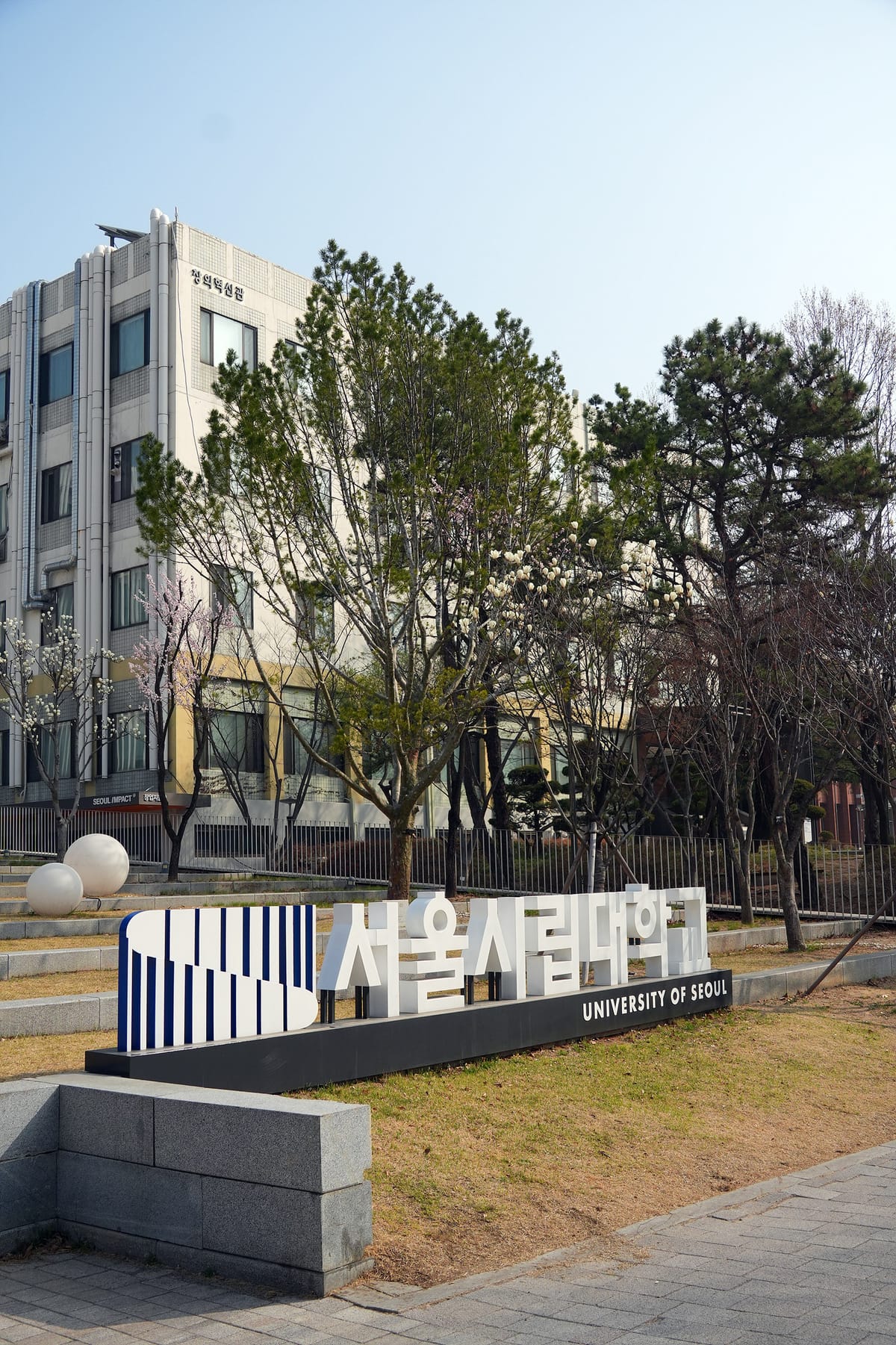 26년 봄